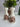 Linen & Bloom Candle Holders