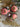 Christmas Ornament Set - 21