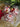 Christmas Ornament Set - 23