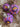 A SET OF CHRISTMAS ORNAMENTS - 113
