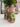 Verdant Garden Candle Holders