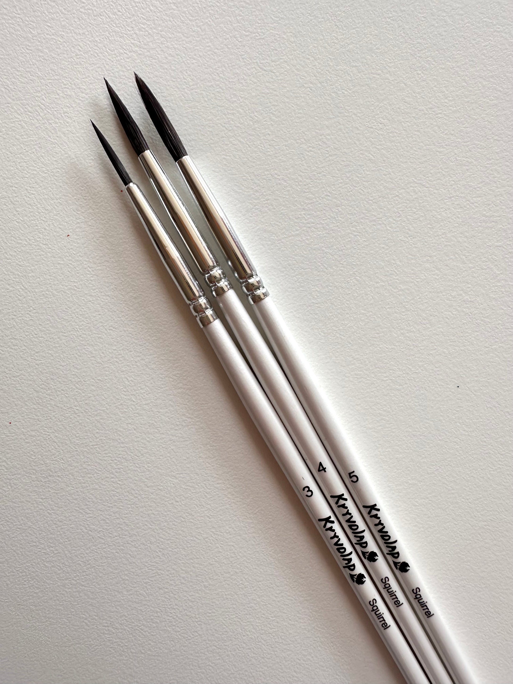 Round Squirrel Brush