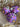 A SET OF CHRISTMAS ORNAMENTS - 113