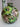 Verdant Garden Vase