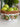 Verdant Garden Bowl