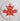 MAPLE LEAF