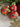 Christmas Ornament Set - 24