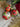 Christmas Ornament Set - 24