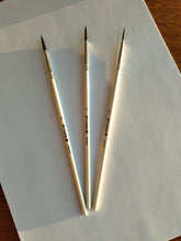 Round Squirrel Brush