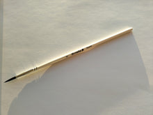 Round Squirrel Brush
