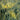 Pattern of leaves and flowers on a green background