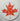 MAPLE LEAF