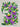 PURPLE EMBRACE - 12 in x 16 in (30.5 cm x 40.6 cm)