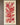FLAMING BLOSSOM - 10 in x 20 in (25.4 cm x 50.8 cm)