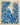 BLUE GOWK - 16 in x 20 in (40.6 cm x 50.8 cm)